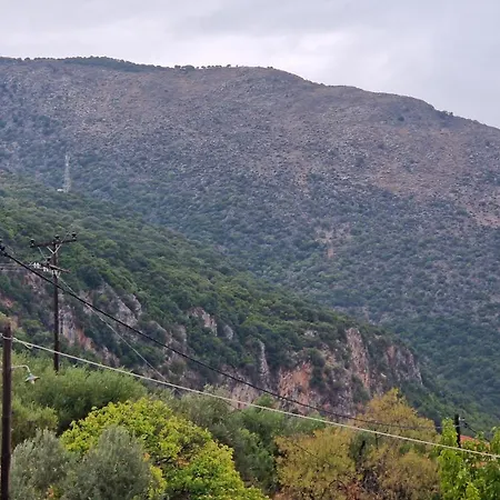 Eva's بوروس